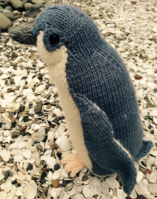 Cameron James: Darwin the little blue penguin