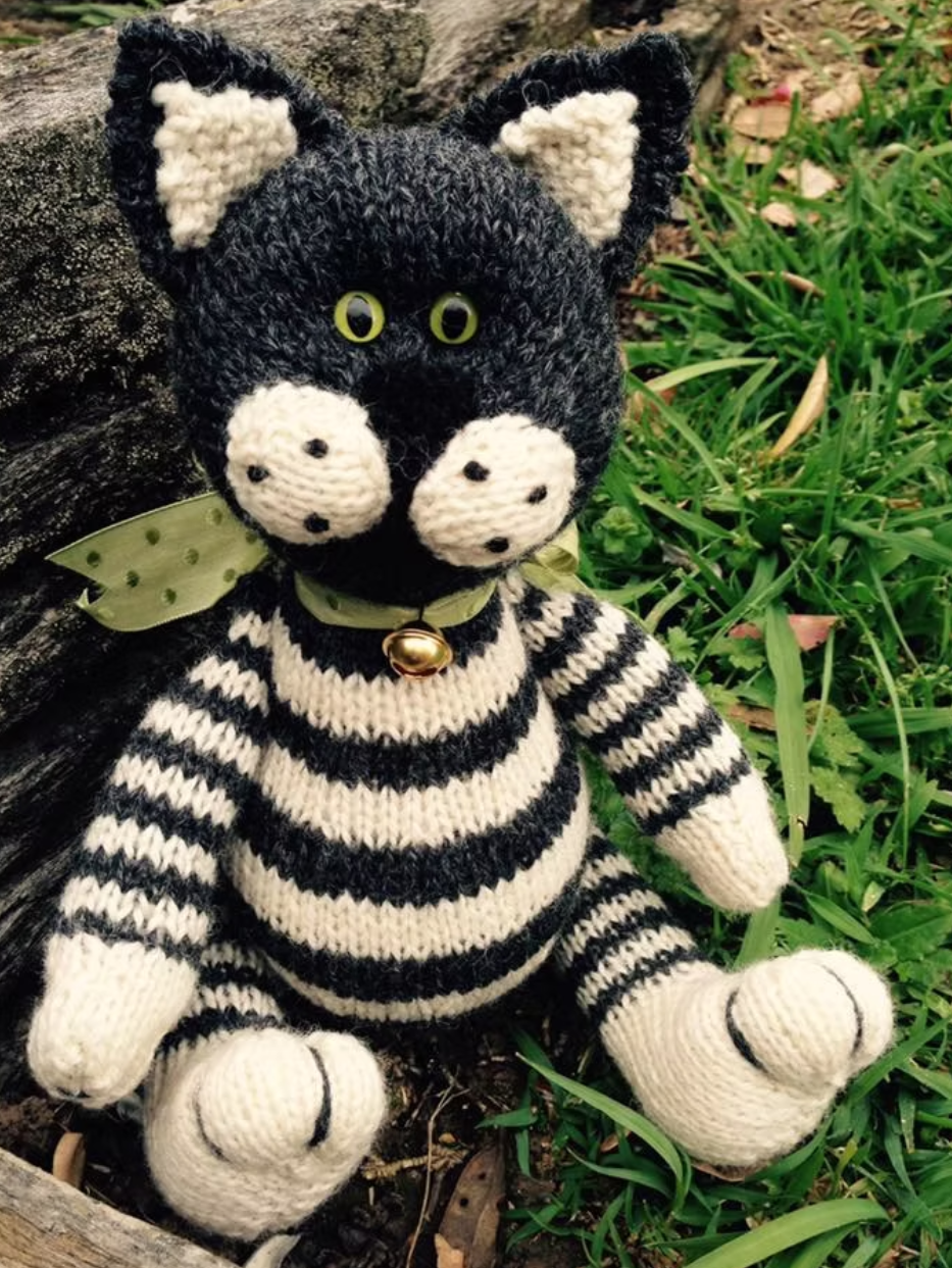 Cameron James: Oreo the Black and white Cat