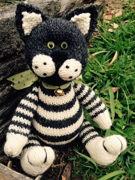 Cameron James: Oreo the Black and white Cat