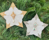 CLASS:  Winter Radiance Star